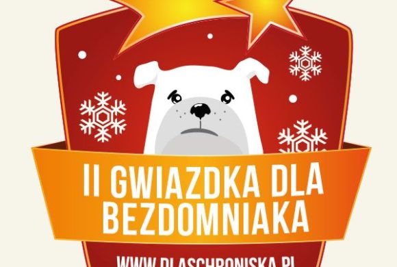 II gwiazdka dla bezdomniaka II gwiazdka dla bezdomniaka