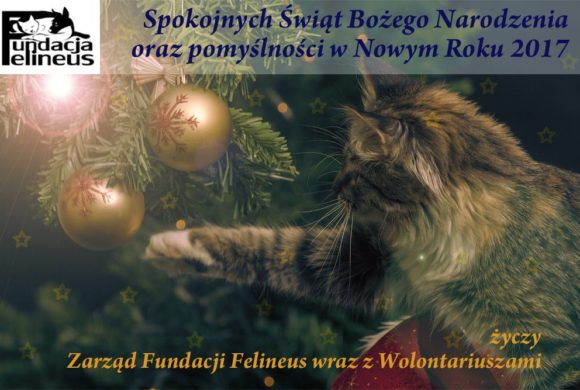 Życzenia świąteczne Życzenia świąteczne