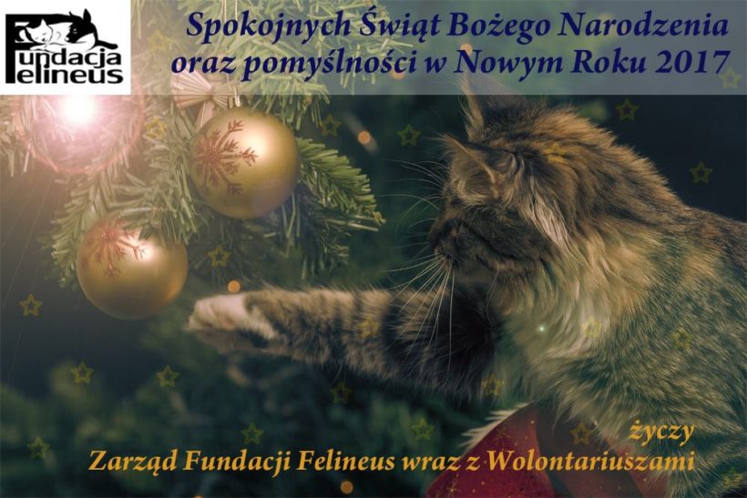 Życzenia świąteczne