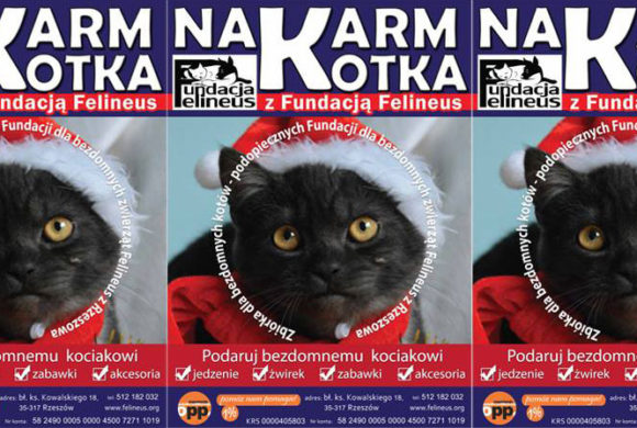 Mikołajkowa zbiórka dla naszych podopiecznych Mikołajkowa zbiórka dla naszych podopiecznych