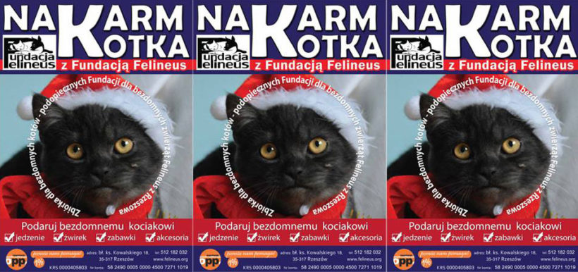 Mikołajkowa zbiórka dla naszych podopiecznych