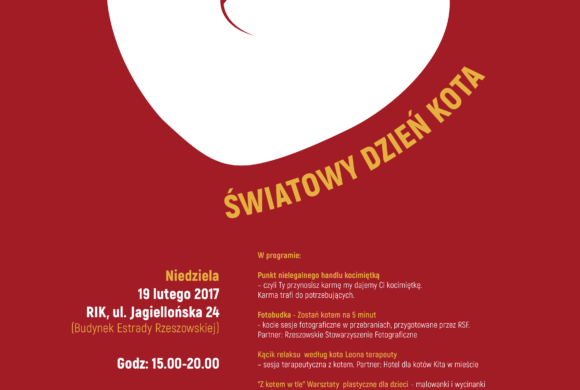 Światowy Dzień Kota 2017 Światowy Dzień Kota 2017