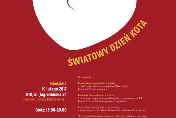 Światowy Dzień Kota 2017