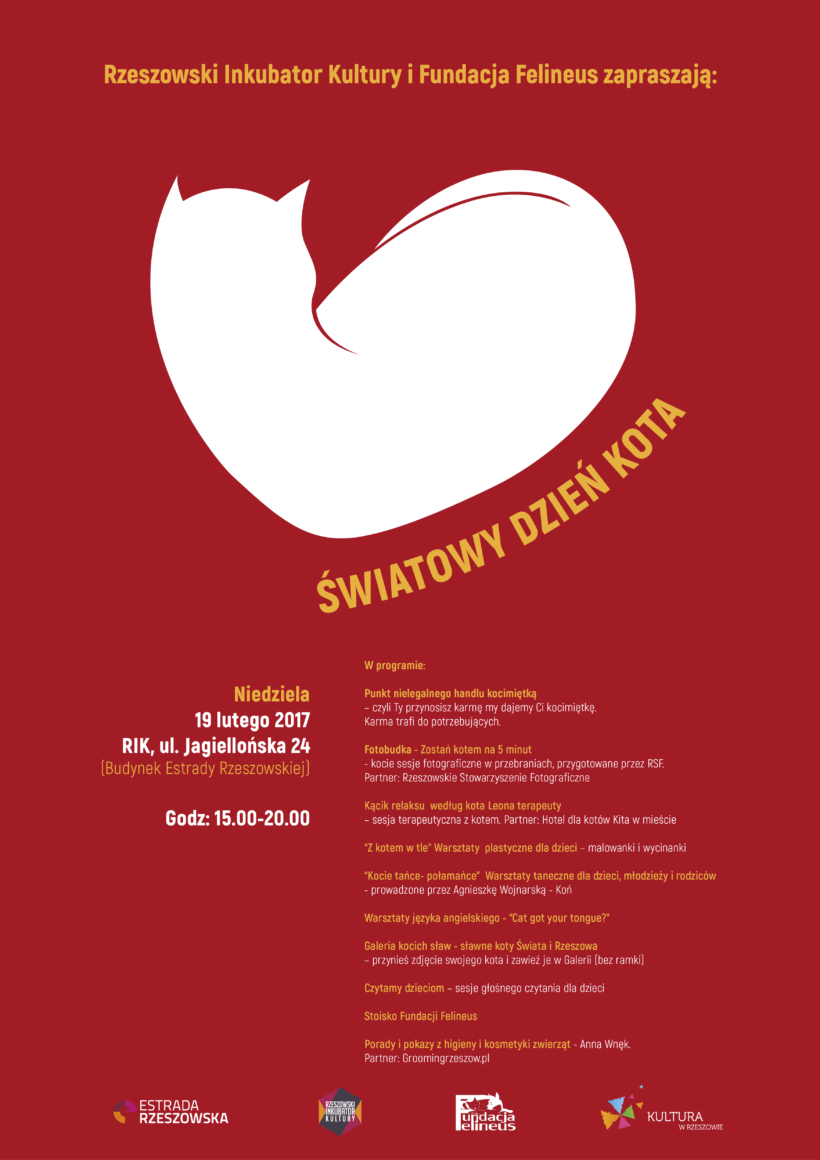 Światowy Dzień Kota 2017
