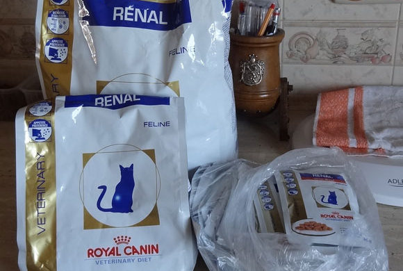 Serdecznie dziękujemy Pani Alicji