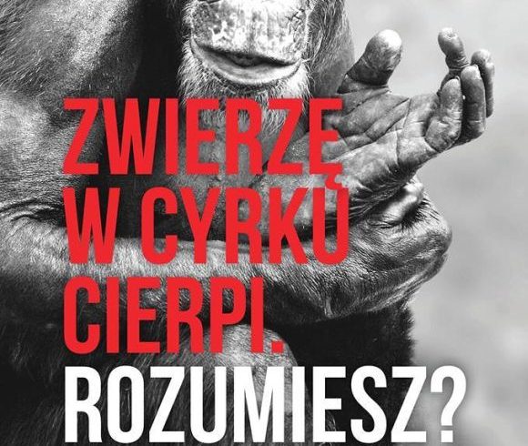 Dzień cyrku bez zwierząt