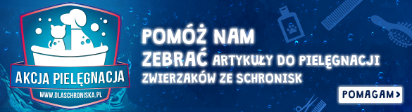Baner