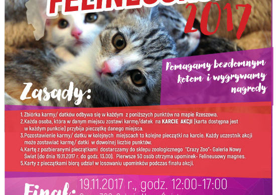 Rzeszowska Mapa Pomocy Felineuskom 2017