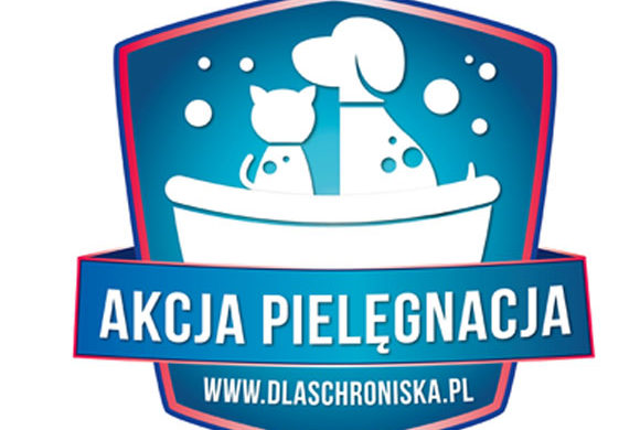 Zadbaj o zdrowie i urodę… bezdomnych kotów, podopiecznych Fundacji Felineus