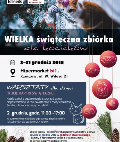 Wielka świąteczna zbiórka dla kociaków w hipermarkecie Bi1