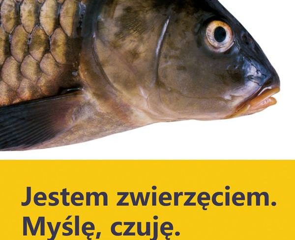 Dzień ryby