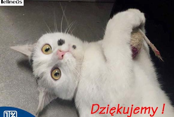 Dziękujemy Adsystem!