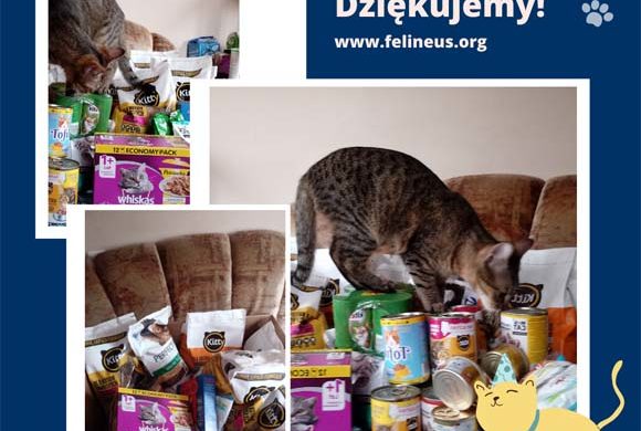 Dziękujemy SP nr 34 !