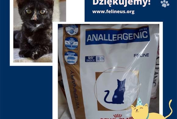 Dziękujemy Pani Elżbiecie!