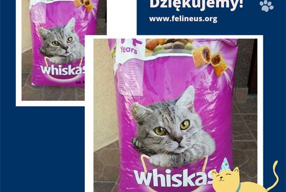 Dziękujemy Marzenie i Mariuszowi!