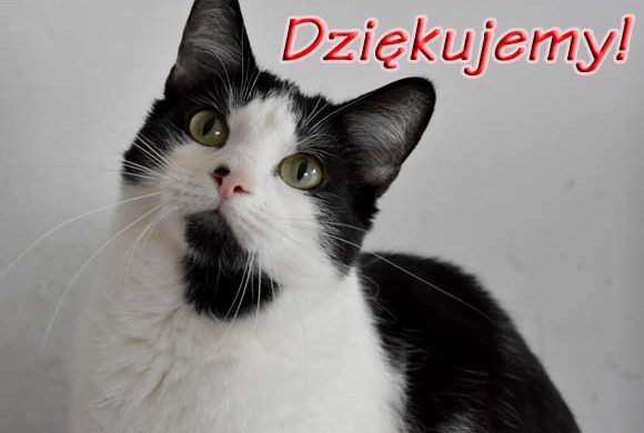 Dziękujemy sklepowi MURRANO!