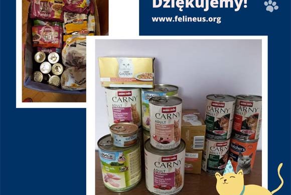 Dziękujemy Świetlicy przy SP nr 6 !