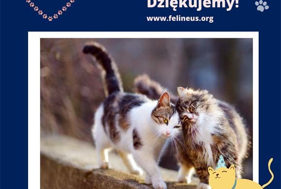 Dziękujemy klasie 3 B I Liceum Ogólnokształcącego