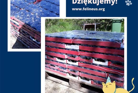 Dziękujemy uczestnikom akcji „Mruczek nie poprosi o pomoc”