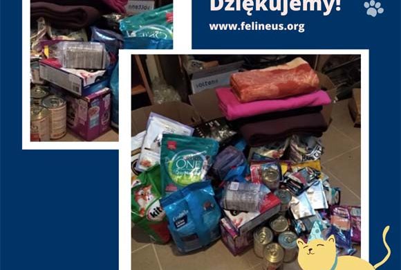 Dziękujemy SP nr 26 w Rzeszowie!