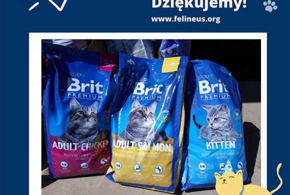 Dziękujemy Pani Sylwii!