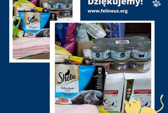 Dziękujemy Pani Ani!