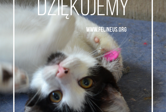 Dziękujemy MiDaTech!