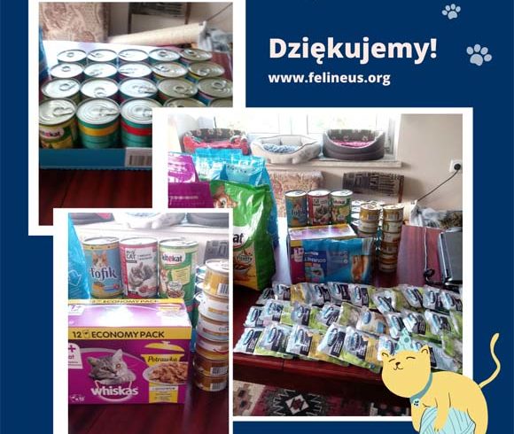Dziękujemy Margo-Fit!