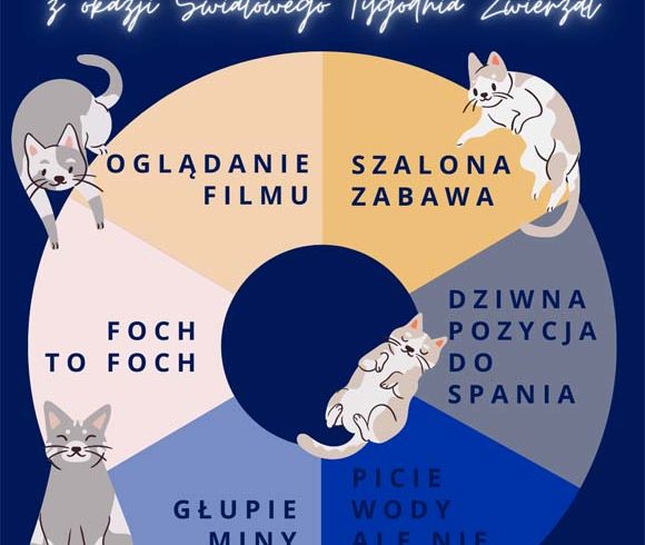 Przedłużamy termin zakończenia Kociej ruletki
