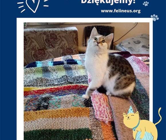 Dziękujemy za kolejne kocyki!