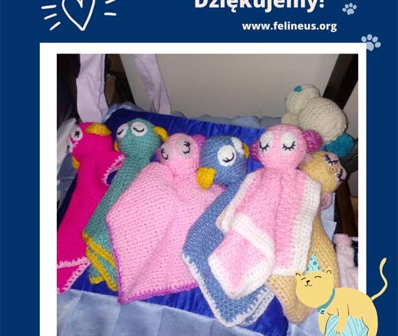 Dziękujemy za kocyki!