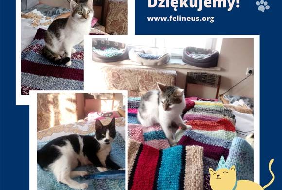 Dziękujemy Pani Beacie!