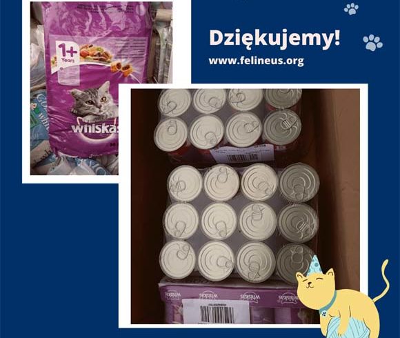 Dziękujemy Panu Mateuszowi!