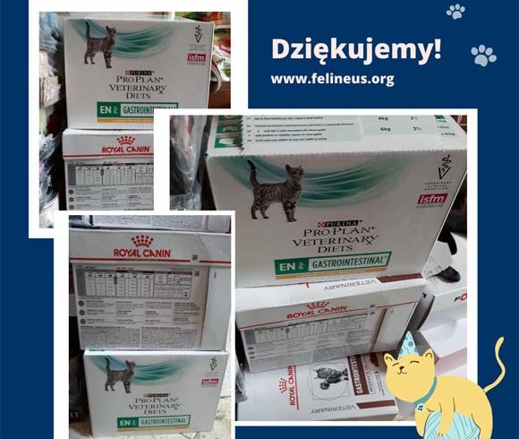 Dziękujemy przyjacielowi fundacji!
