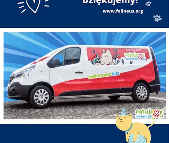 Dziękujemy za głosowanie!
