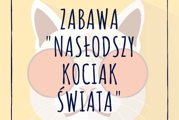 Najsłodszy kociak świata