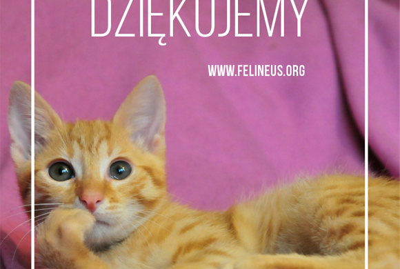 Dziękujemy firmie AIF Kancelaria