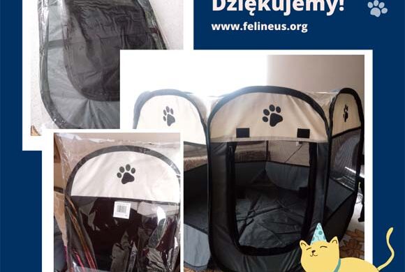 Dziękujemy Pani Ani i Pani Monice!