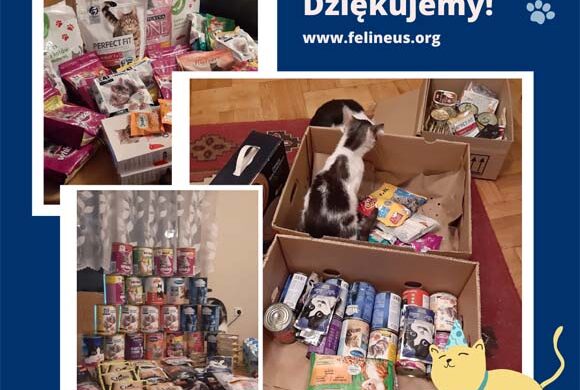 Dziękujemy Przedszkolu i Bibliotece w Krasnem!