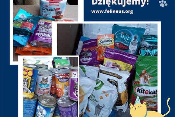Dziękujemy Leroy Merlin!