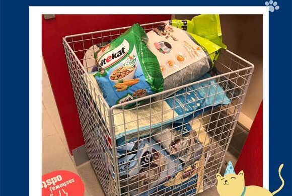 Dziękujemy MAXI ZOO!