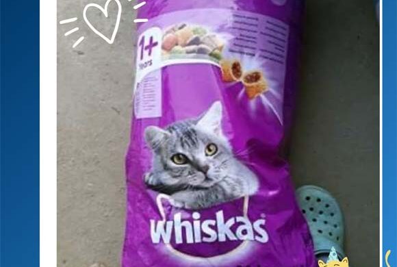 Dziękujemy Przyjacielowi Fundacji!