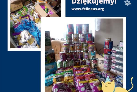 Dziękujemy SP 21!