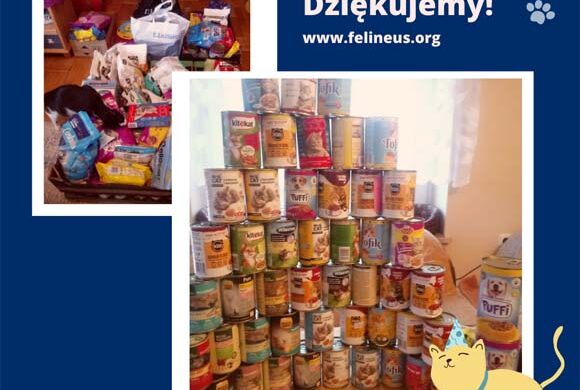 Dziękujemy SP 34!