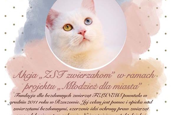 Zbiórka karmy i akcesoriów w ramach akcji „Młodzież dla miasta”