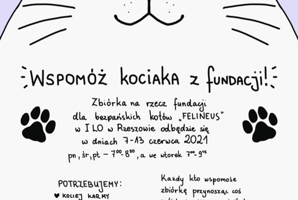 Wspomóż kociaka z Fundacji w  I LO w Rzeszowie