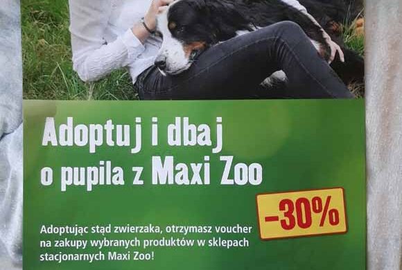 Akcja MAXI-ZOO „Voucher za adopcję zwierzaka”