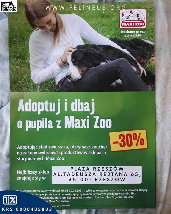 Akcja MAXI-ZOO „Voucher za adopcję zwierzaka”
