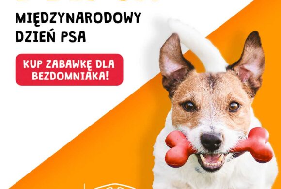 1 lipca – Dzień Psa!