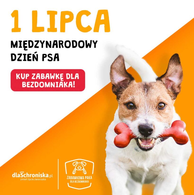 1 lipca – Dzień Psa!
